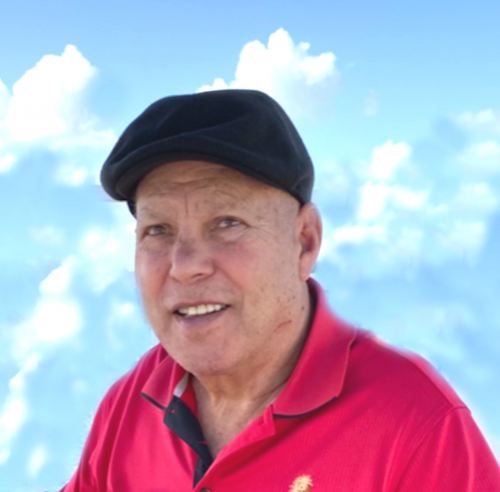 michael d'angelo