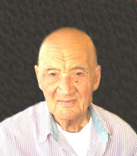domenico pecoraro