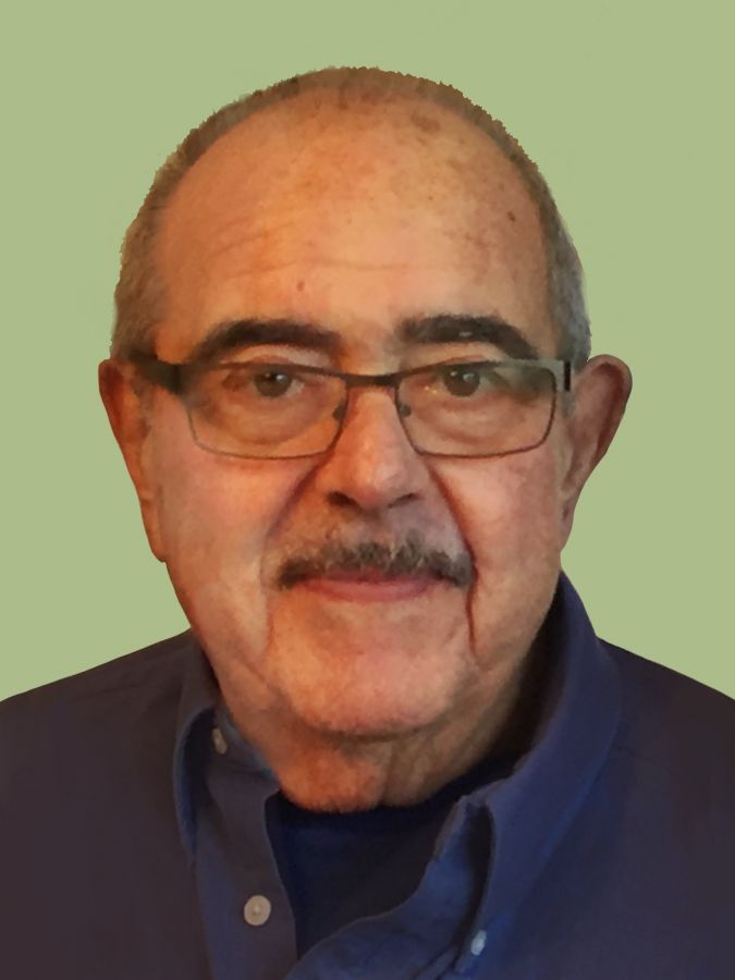 ronald natale