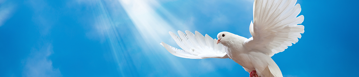 Obituary-img