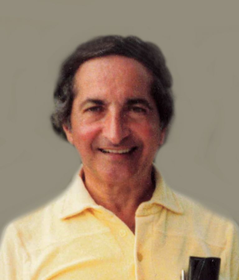 vincent palermo